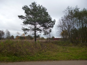 P1030013