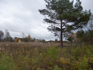 P1030014